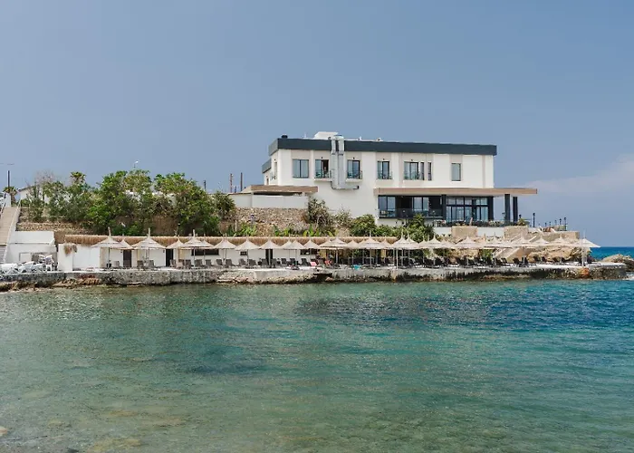 Shayna Club キレニア