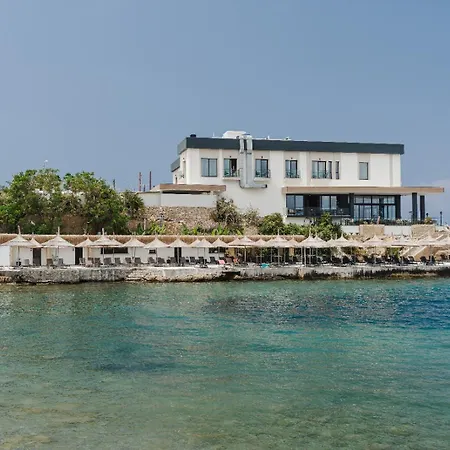 Shayna Club كيرينيا